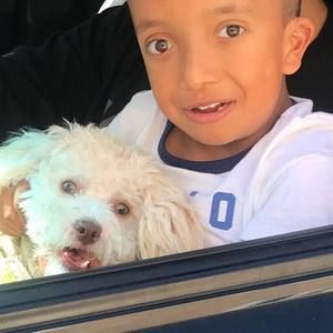 Meet your Posher, Lupe